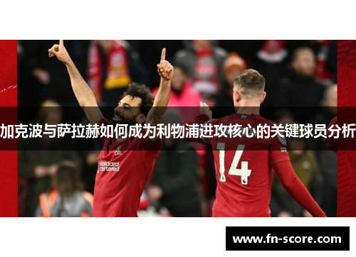 加克波与萨拉赫如何成为利物浦进攻核心的关键球员分析