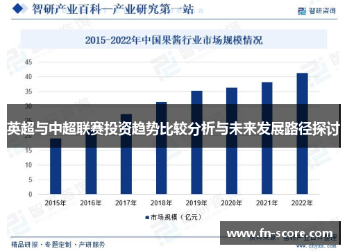 英超与中超联赛投资趋势比较分析与未来发展路径探讨